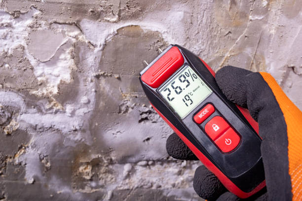 Best Bathroom Mold Remediation in Oakdale, MN
